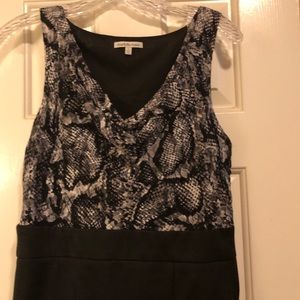 Cute Charlotte Russe Dress